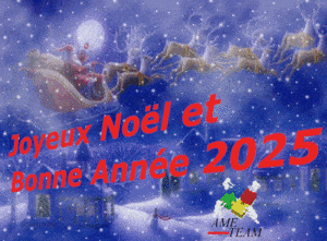 Meilleurs Voeux 2025